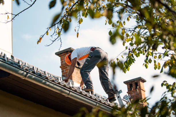 Best Residential Roofing Contractor  in Wayne, MI