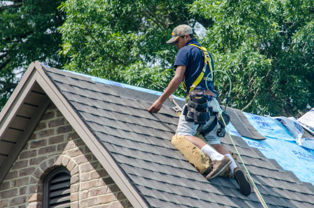 Best New Roof Installation  in Wayne, MI